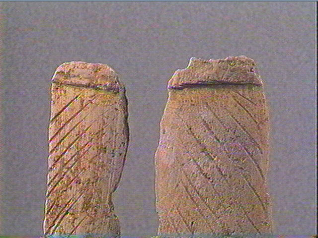 Andouiller (renne)_6