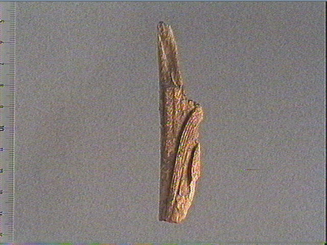 Objet indéterminé_0