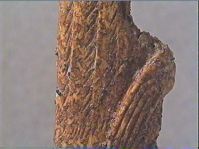 Objet indéterminé_2