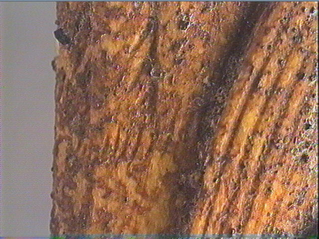 Objet indéterminé_4