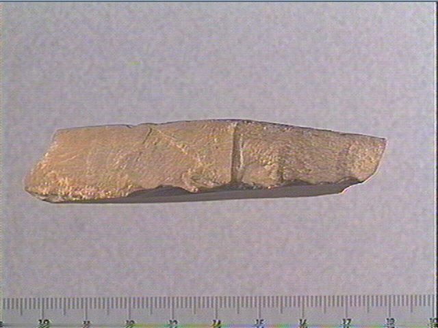 Plaquette (fragment)_1