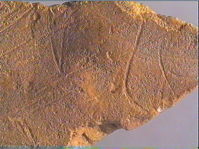 Plaquette (fragment)_5