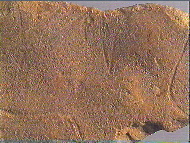 Plaquette (fragment)_6