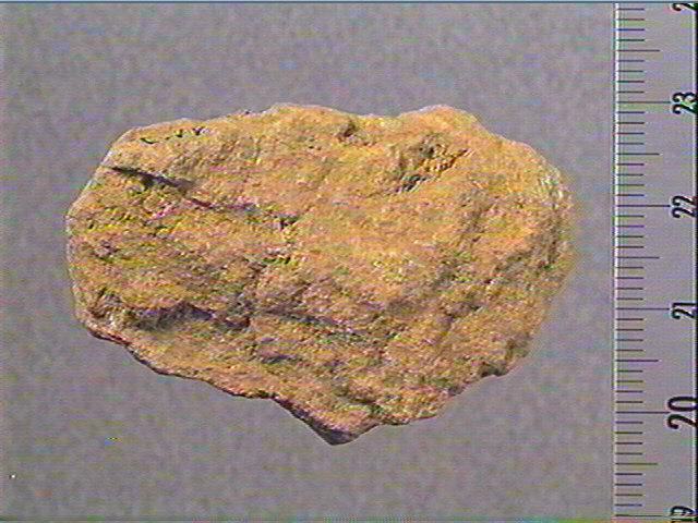 Plaquette (fragment)_3