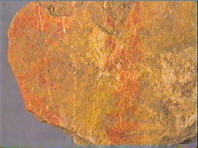 Plaquette (fragment)_4