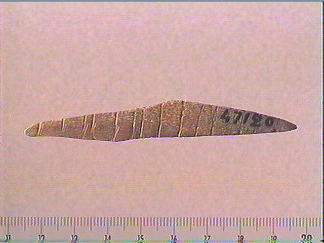 Baguette demi-ronde_2
