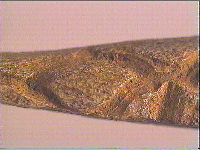 Baguette demi-ronde_4