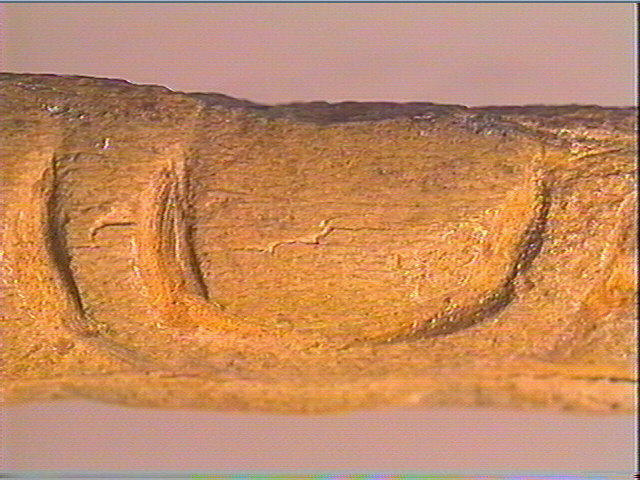 Baguette demi-ronde_6