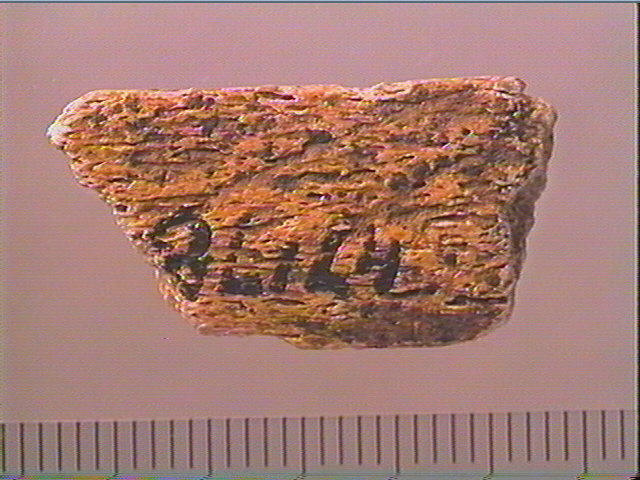 Baguette demi-ronde_2