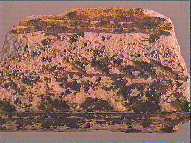 Baguette demi-ronde_3
