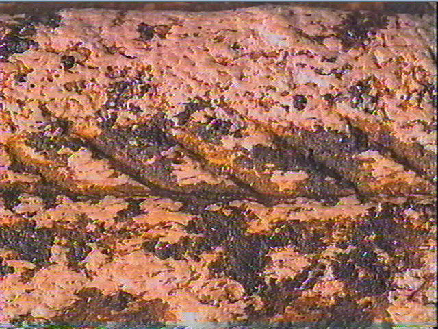 Baguette demi-ronde_4