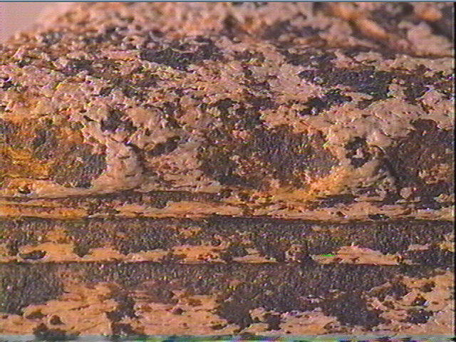 Baguette demi-ronde_5