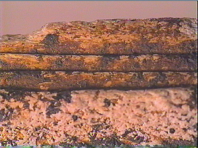 Baguette demi-ronde_6