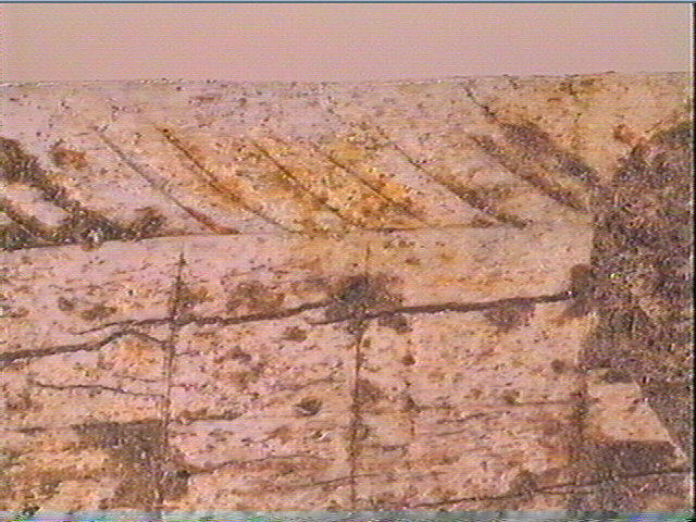 Lissoir, spatule_5