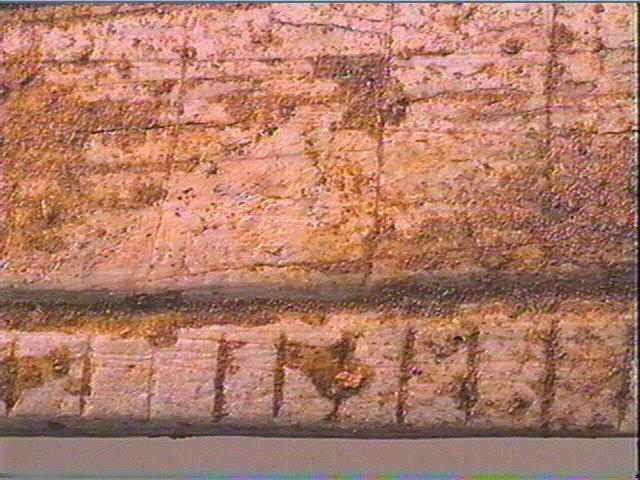 Lissoir, spatule_6