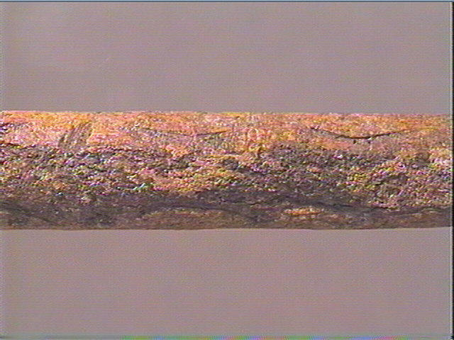 Baguette demi-ronde_3