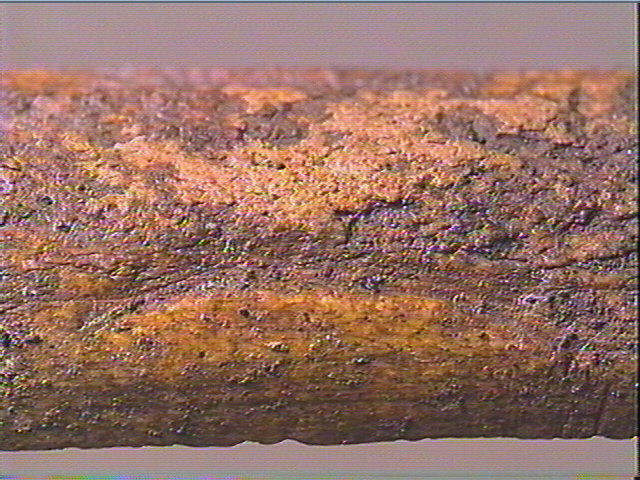 Baguette demi-ronde_6
