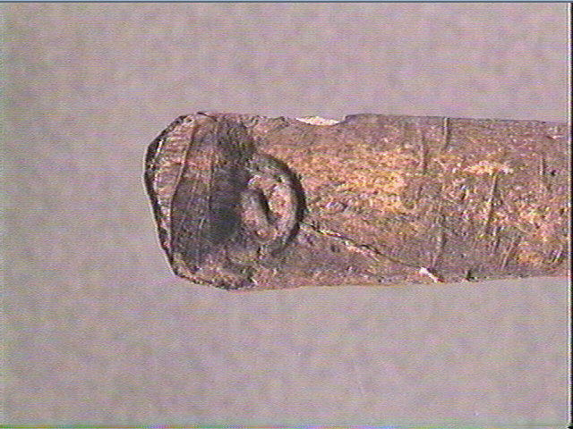 Baguette demi-ronde_2