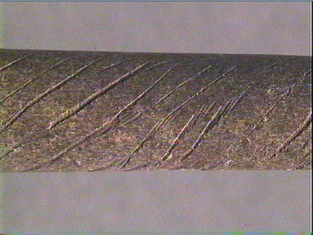 Sagaie_5
