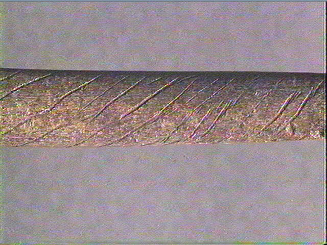 Sagaie_6
