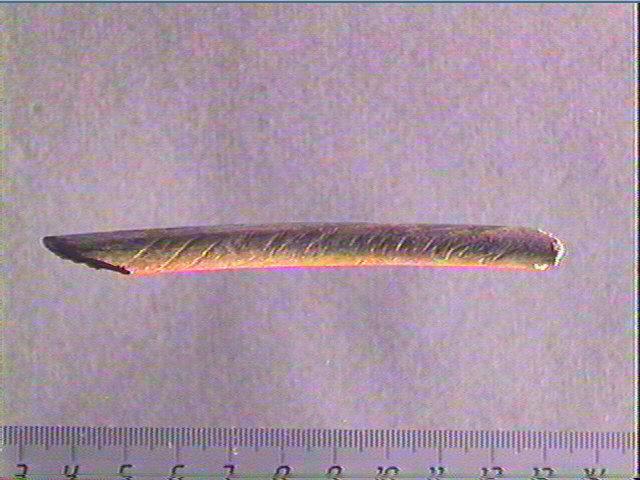 Os indéterminé (oiseau)_0