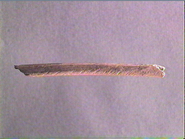 Os indéterminé (oiseau)_1