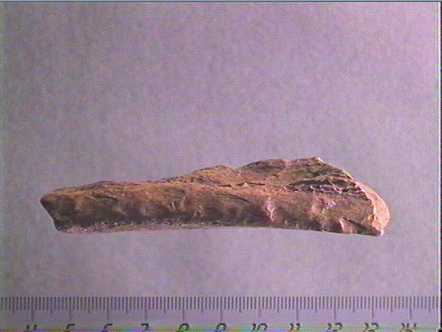 Os indéterminé_3