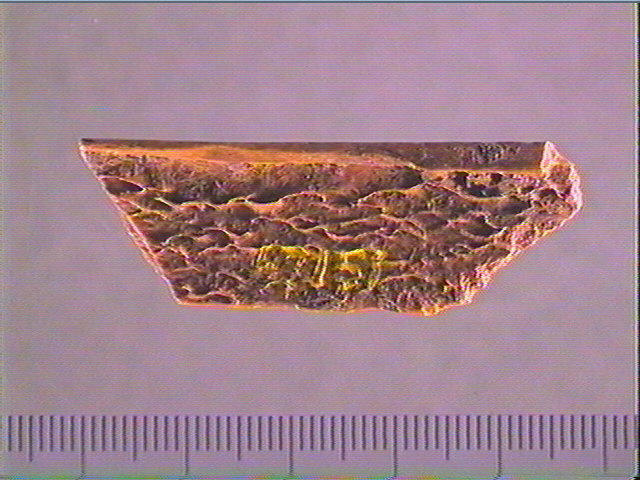 Côte_2