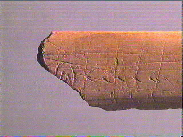 Côte_3