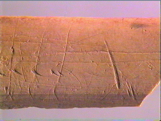 Côte_5