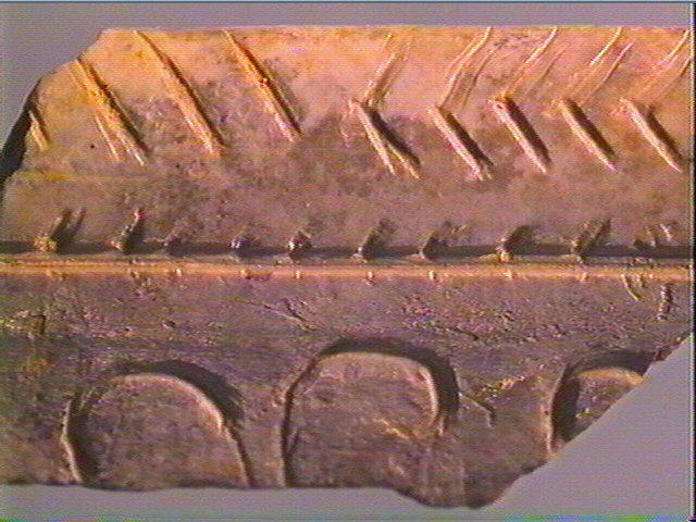 Os canon_5