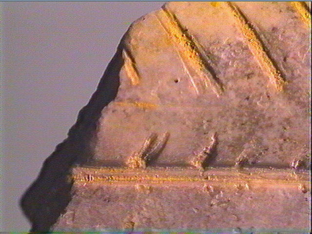 Os canon_6