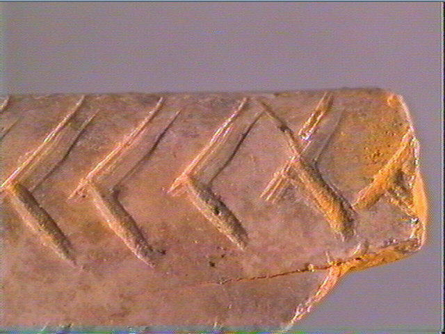 Os canon_3