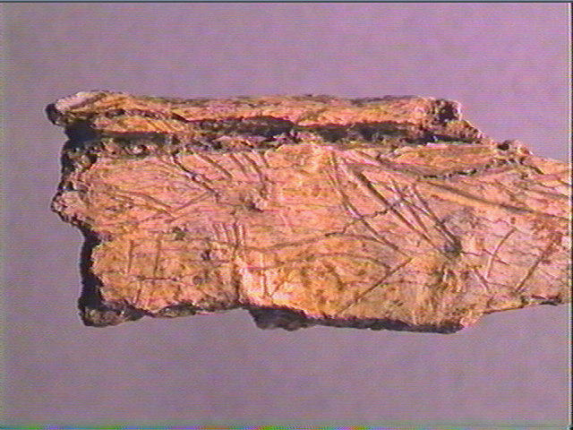 Os indéterminé_3