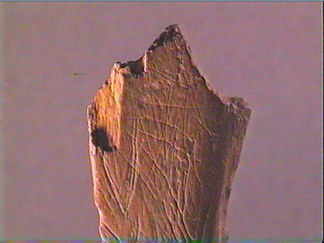 Os indéterminé_4