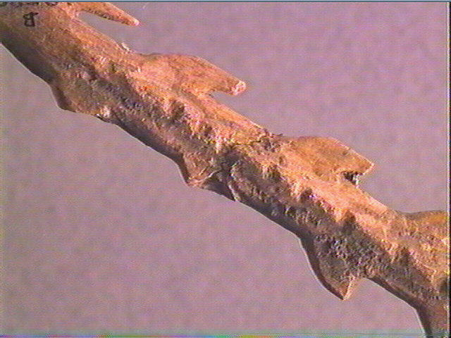 Harpon (à deux rangs de barbelures)_1