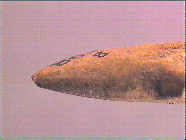 Harpon (à deux rangs de barbelures)_2