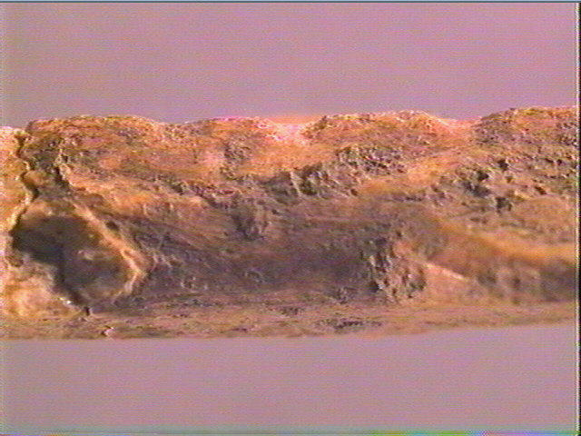 Harpon (à deux rangs de barbelures)_4