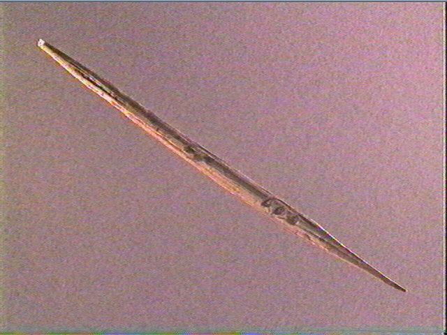 Sagaie (à biseau double)_1