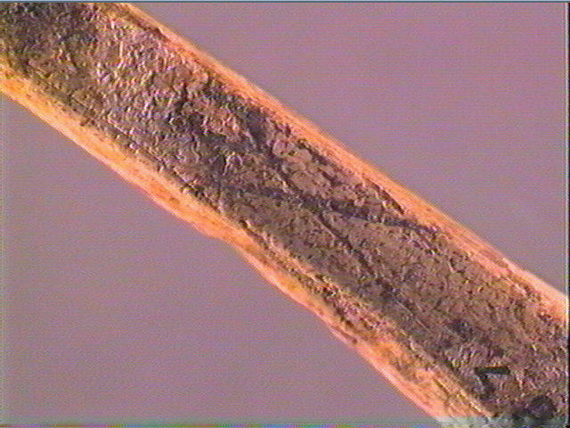 Sagaie (à biseau double)_3