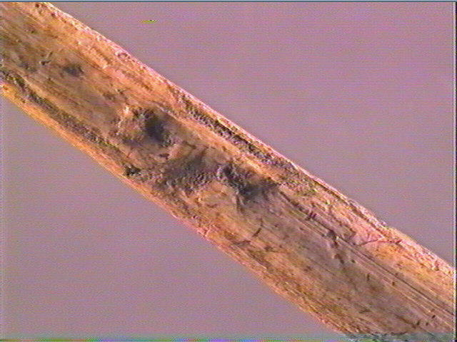 Sagaie (à biseau double)_4