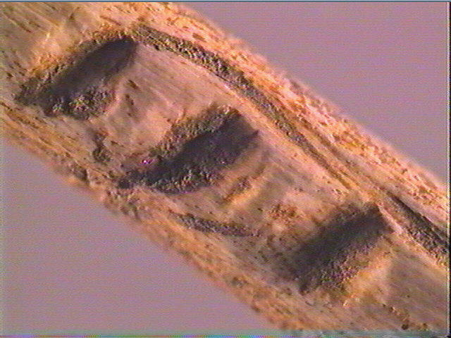 Sagaie (à biseau double)_6