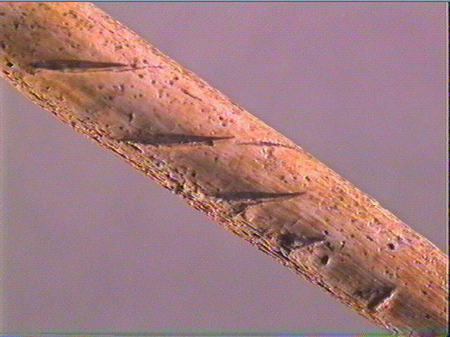 Sagaie (à biseau double)_3