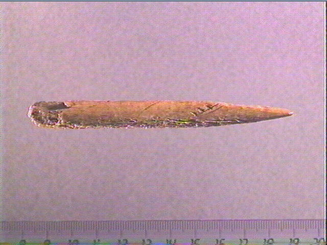 Sagaie_1