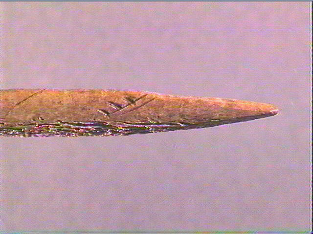 Sagaie_2
