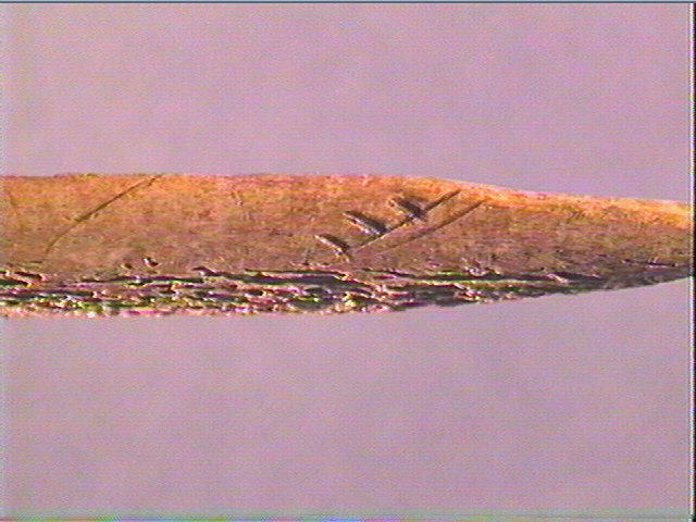 Sagaie_3
