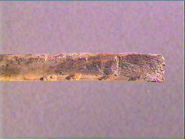 Sagaie (à biseau double)_1