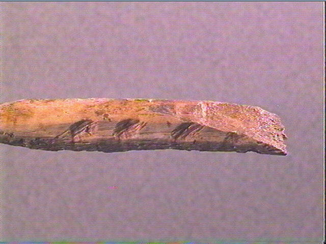Sagaie (à biseau double)_2
