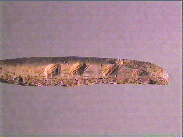 Sagaie (à biseau double)_3
