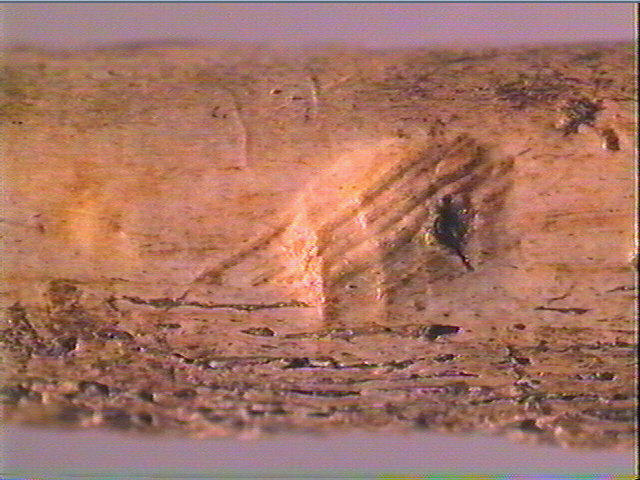 Sagaie (à biseau double)_6